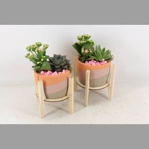 arr2 PL - Ker. op houten voet roze
