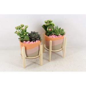 arr2 PL - Ker. op houten voet roze