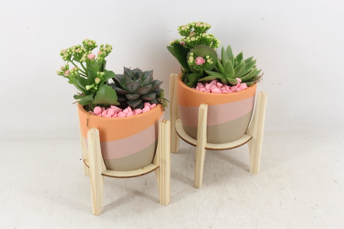 <h4>arr2 PL - Ker. op houten voet roze</h4>