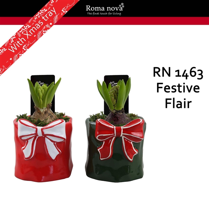 <h4>Arr.  Hyacinthus L%</h4>