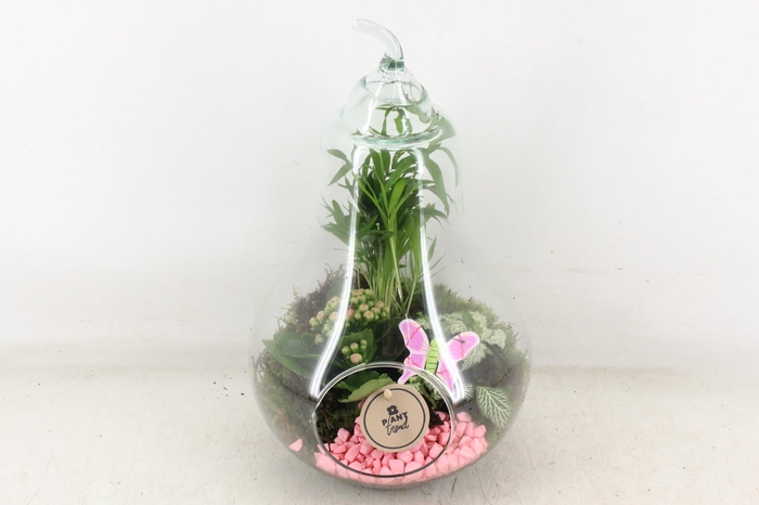 <h4>arr2 PL - Glazen peer XL - roze</h4>