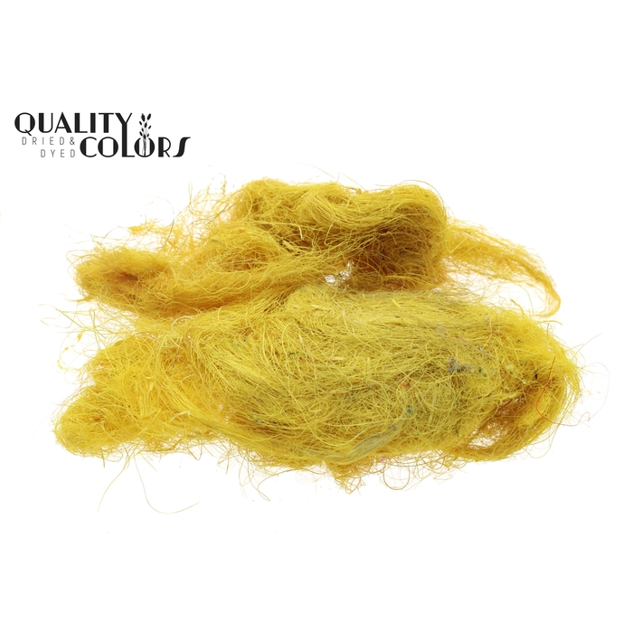 <h4>Coco fibre 250gram in poly Yellow</h4>