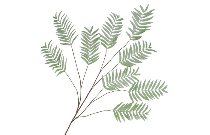 <h4>Silk Palm Leaf Dusty Green 150cm Nm</h4>