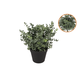 Silk Eucalyptus Green In Pot M 23x23x28cm Nm
