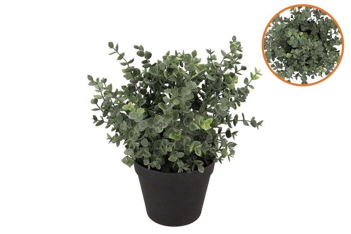 <h4>Silk Eucalyptus Green In Pot M 23x23x28cm</h4>