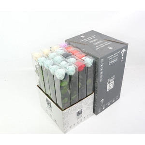 Rosa Preserved Stem 50cm zero waste mix