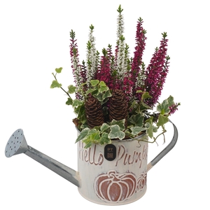 Arr.   Tuinplanten L%