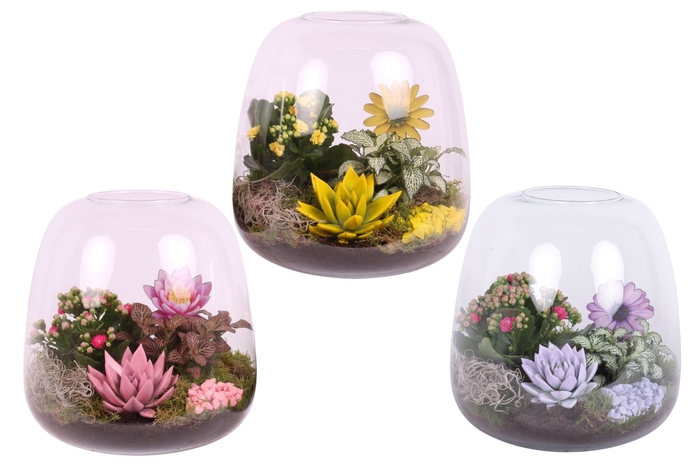 <h4>Opm Summer Arr. Indoor Glass Vase Terrarium Round</h4>
