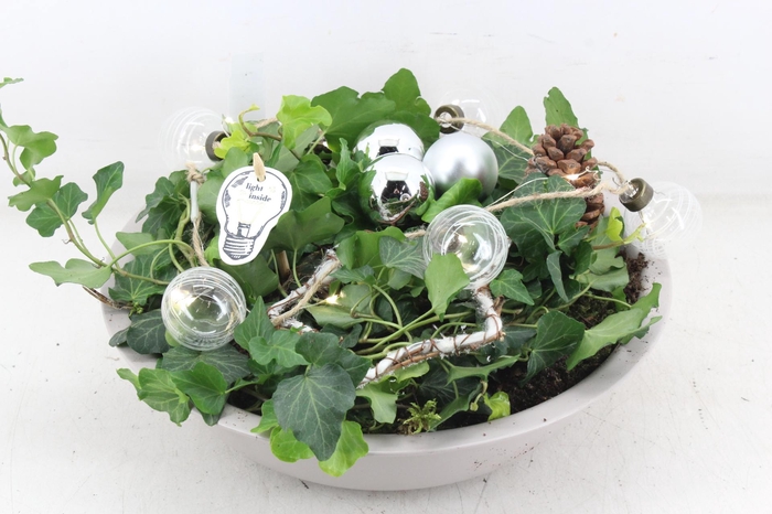 <h4>arr2 PL - Zink creme hed. zilver LED ball</h4>