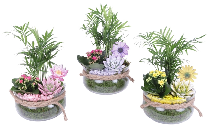 <h4>Opm Summer Arr. Indoor Glass Bowl With Rope</h4>