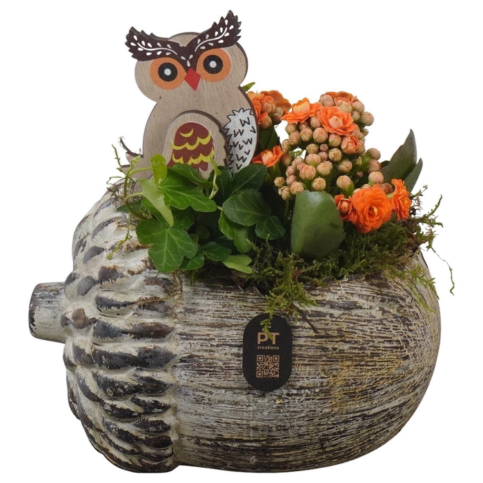 Arr.    Planten  L%