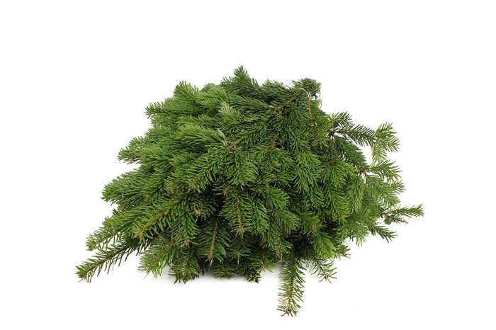 Nordman Handbos ( 750 Gr. )