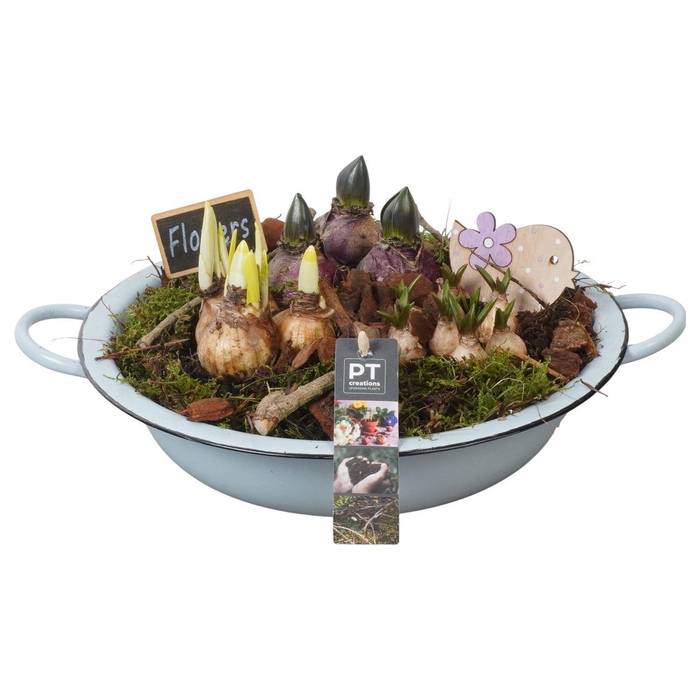 <h4>Arr. Tuinplanten L%</h4>