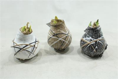 <h4>2693 WAX STREEP</h4>