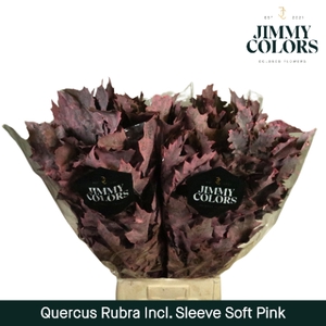 Quercus Rubra Sleeve L80 Soft Pink