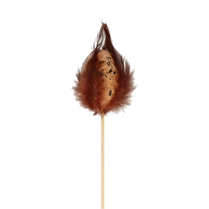 Easter 50cm Lapwing egg+feathers 6cm