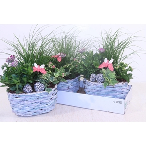 ARR TUINPLANTEN