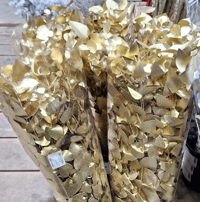 <h4>CINEREA GOLD</h4>