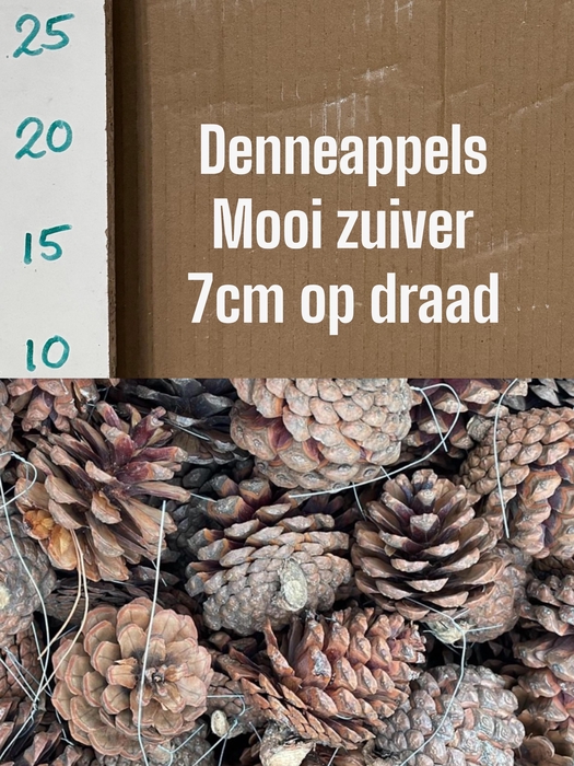 <h4>DENNEAPP G OP ST H%</h4>