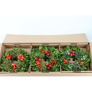 Wr Sierfruit 30cm (anttar)