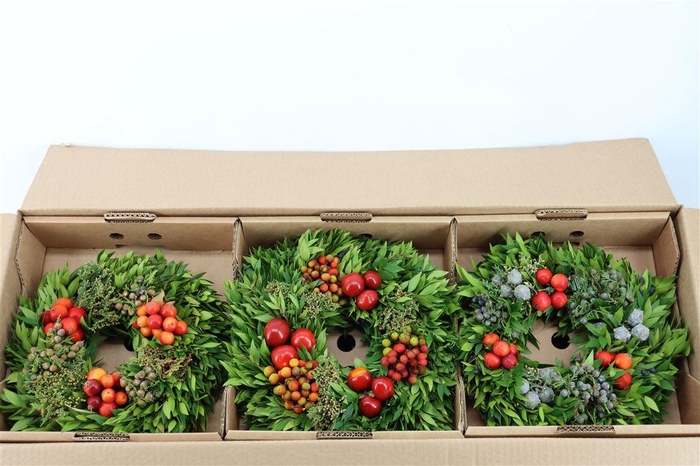 <h4>Wr Sierfruit 30cm (anttar)</h4>