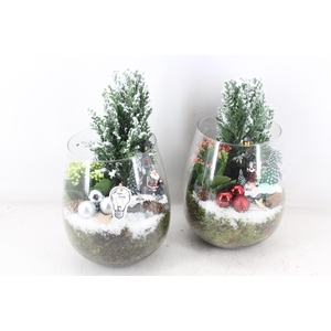 arr2 PL - Glas Patna boom LED deco