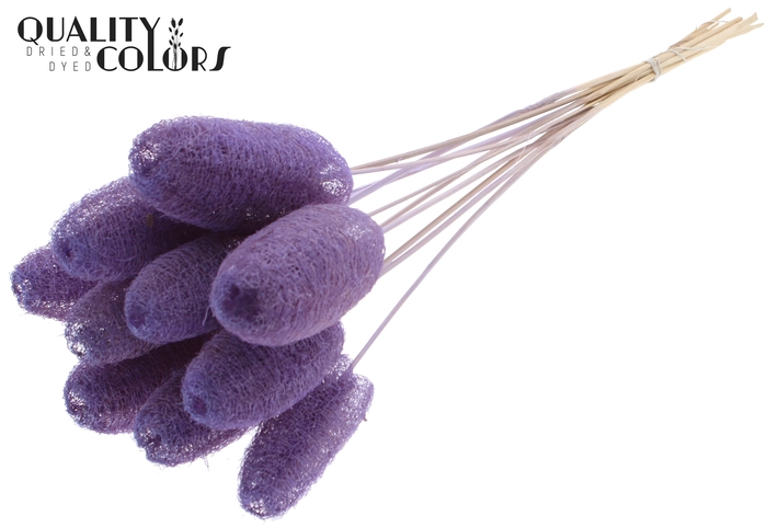 Luffa Mini on stem Milka