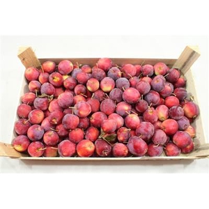 RODE MINI APPELTJES per KIST