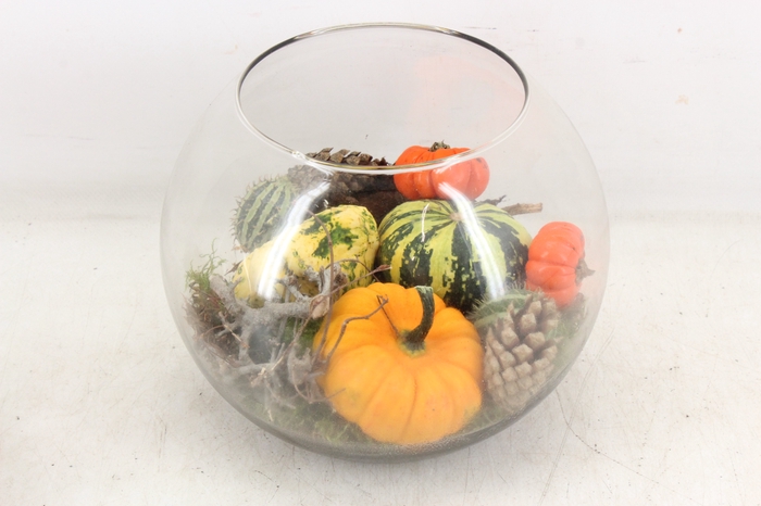 <h4>arr4 Sierfruit MB - Glas bol x5</h4>