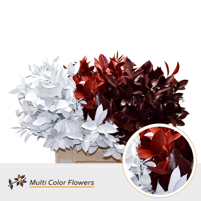 <h4>Ruscus Kerst Mix</h4>