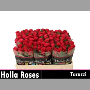R GR TACAZZI+