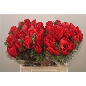 Anem Mistral Red Super