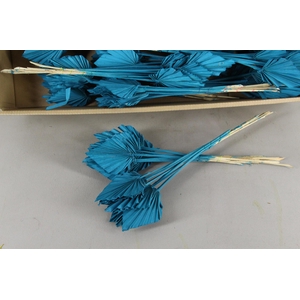 DF Palm Spear Small Turquoise