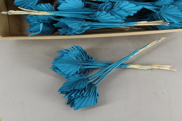 <h4>DF Palm Spear Small Turquoise</h4>