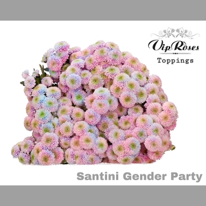 CHR S GENDER PARTY
