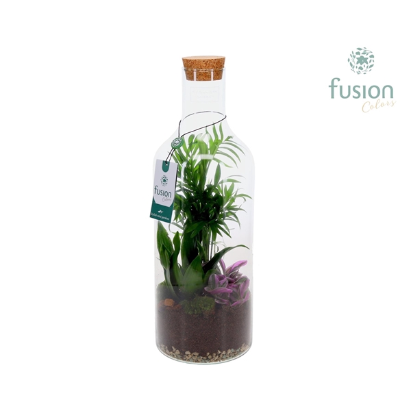 <h4>Green Bottle Fles Medium met Arrangement</h4>