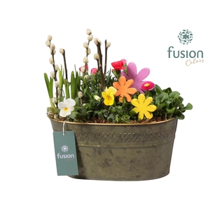 Schaal zink ovaal Voorjaar met Arrangement