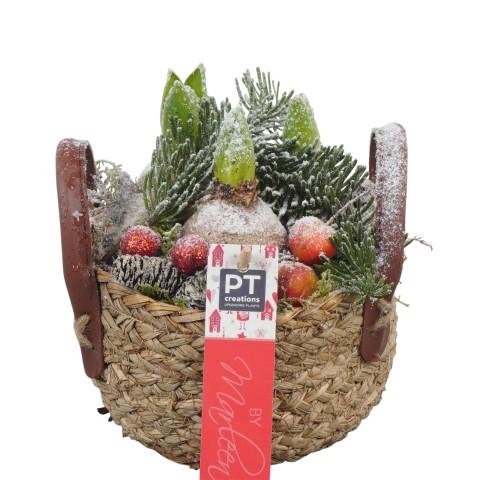 <h4>PTHCH6702 Arrangementen Hyacinthus</h4>