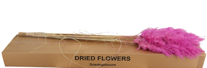 <h4>DROOGBL BEWERKT H%</h4>