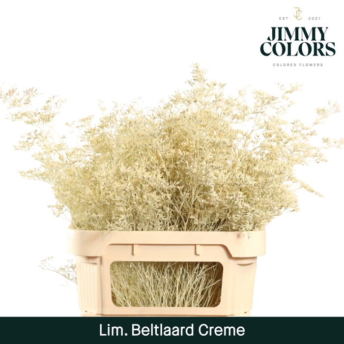 <h4>Lim Bel L90 Creme</h4>