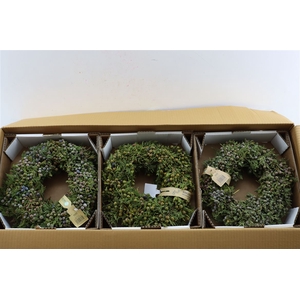 Wr Sierfruit Juniperus 30cm (elvan Cicek)