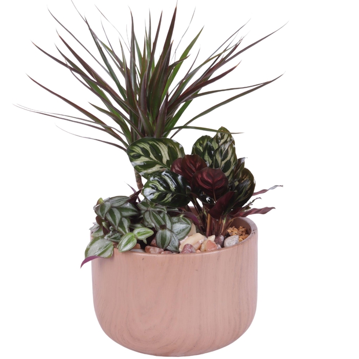 <h4>Yearround Arr. Indoor Ceramic Naturel Touch N565 Ø20cm 3PP</h4>