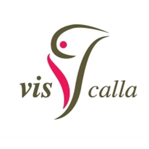 Calla Ivory Art