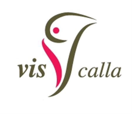 <h4>Calla Ivory Art</h4>