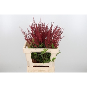 Astil Ar Else Schluc