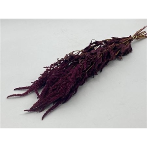 Dried Amaranthus Red Bunch