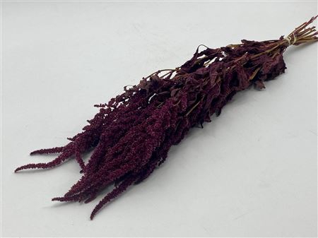 <h4>Dried Amaranthus Red Bunch</h4>