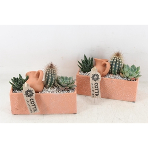 arr2 UB - Terra cotta rechth.