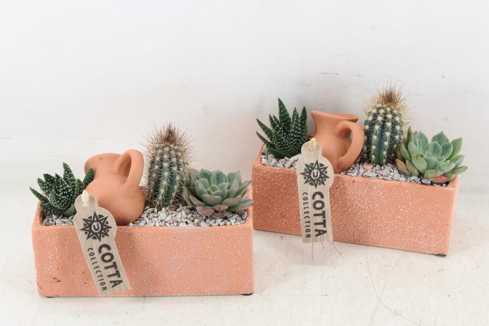 Arr2 Ub - Terra Cotta Rechth.