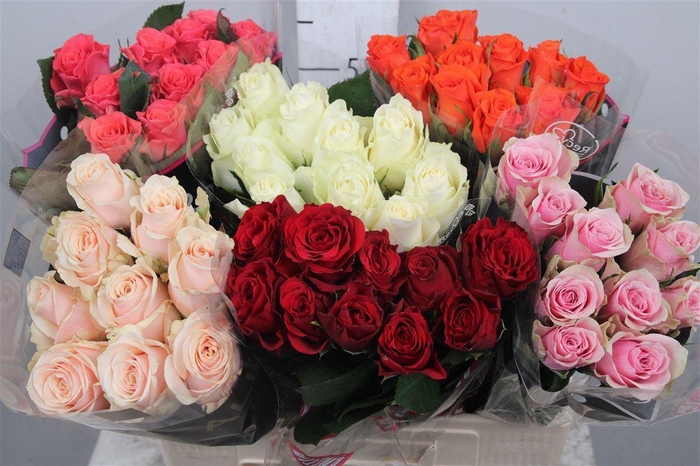 <h4>R Gr Gemengd In Fust B1</h4>